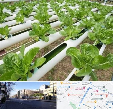 فروش تجهیزات هیدروپونیک در خیابان ملاصدرا شیراز 