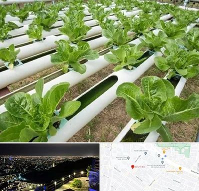 فروش تجهیزات هیدروپونیک در هفت تیر مشهد 