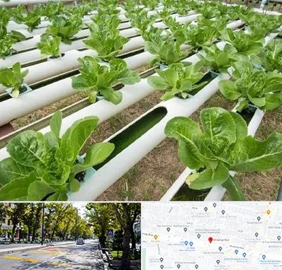 فروش تجهیزات هیدروپونیک در میرداماد