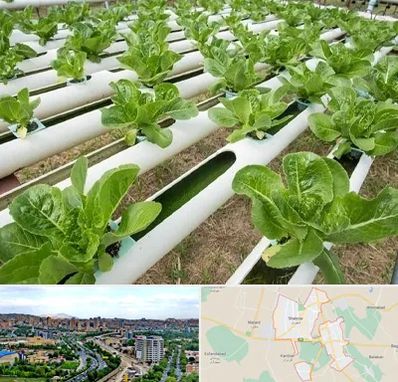 فروش تجهیزات هیدروپونیک در شهریار