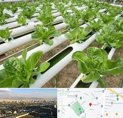 فروش تجهیزات هیدروپونیک در هنگام 