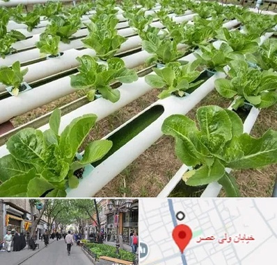 فروش تجهیزات هیدروپونیک در ولیعصر شهریار