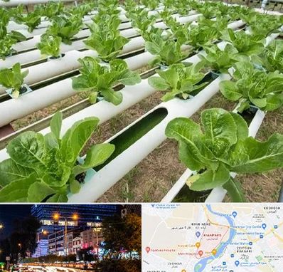 فروش تجهیزات هیدروپونیک در کیانپارس اهواز 