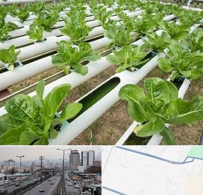 فروش تجهیزات هیدروپونیک در بلوار ارتش