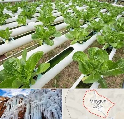 فروش تجهیزات هیدروپونیک در میگون