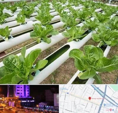 فروش تجهیزات هیدروپونیک در آبرسان تبریز