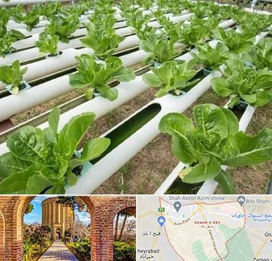 فروش تجهیزات هیدروپونیک در شهر ری