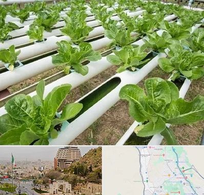 فروش تجهیزات هیدروپونیک در فرهنگ شهر شیراز 