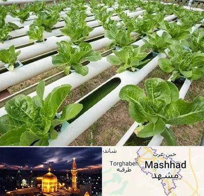 فروش تجهیزات هیدروپونیک در مشهد