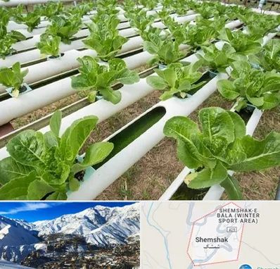 فروش تجهیزات هیدروپونیک در شمشک