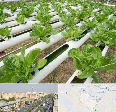 فروش تجهیزات هیدروپونیک در کیانمهر کرج 