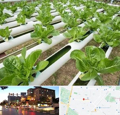 فروش تجهیزات هیدروپونیک در بلوار سجاد مشهد 