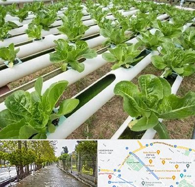 فروش تجهیزات هیدروپونیک در خیابان ارم شیراز 