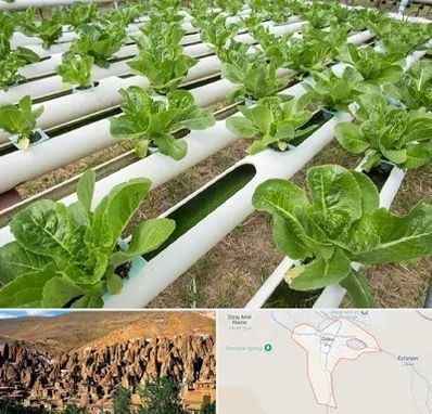 فروش تجهیزات هیدروپونیک در اسکو