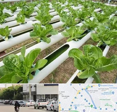 فروش تجهیزات هیدروپونیک در قدوسی شرقی شیراز 