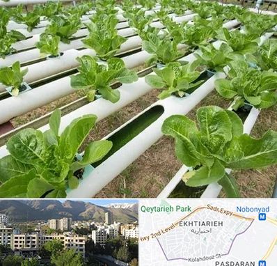 فروش تجهیزات هیدروپونیک در اختیاریه 