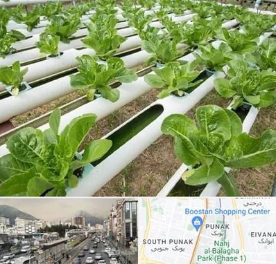 فروش تجهیزات هیدروپونیک در پونک 