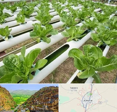 فروش تجهیزات هیدروپونیک در کامیاران