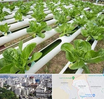 فروش تجهیزات هیدروپونیک در ولنجک 