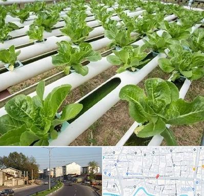 فروش تجهیزات هیدروپونیک در ضیابری رشت 