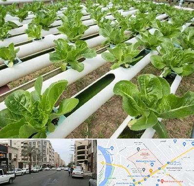 فروش تجهیزات هیدروپونیک در زیتون کارمندی اهواز 