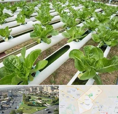 فروش تجهیزات هیدروپونیک در کمال شهر کرج 