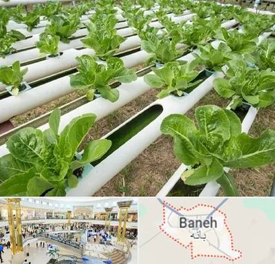 فروش تجهیزات هیدروپونیک در بانه