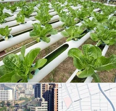 فروش تجهیزات هیدروپونیک در خیابان بهشتی