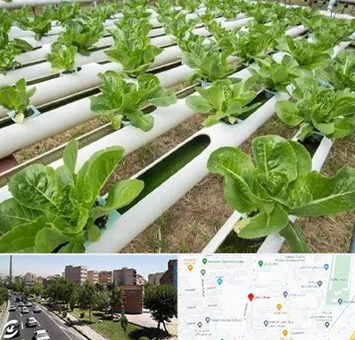 فروش تجهیزات هیدروپونیک در شهرک آزمایش 