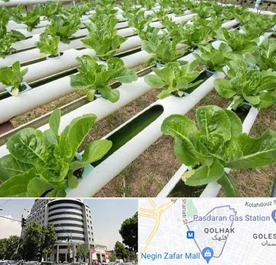 فروش تجهیزات هیدروپونیک در قلهک 