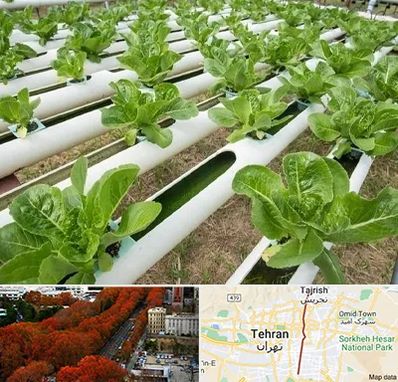 فروش تجهیزات هیدروپونیک در ولیعصر 