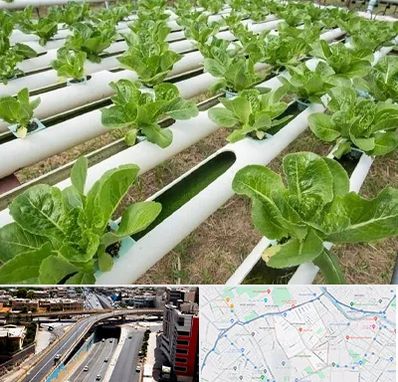 فروش تجهیزات هیدروپونیک در ستارخان شیراز 