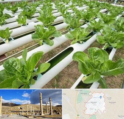 فروش تجهیزات هیدروپونیک در مرودشت