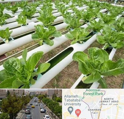 فروش تجهیزات هیدروپونیک در شهران 