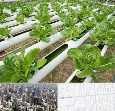 فروش تجهیزات هیدروپونیک در جیحون