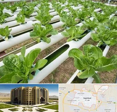 فروش تجهیزات هیدروپونیک در نجف آباد
