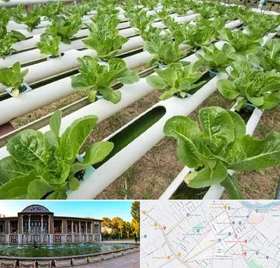 فروش تجهیزات هیدروپونیک در عفیف آباد شیراز 