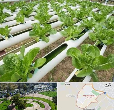 فروش تجهیزات هیدروپونیک در مهرشهر کرج 