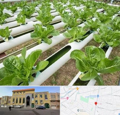 فروش تجهیزات هیدروپونیک در زنبیل آباد قم