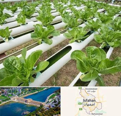 فروش تجهیزات هیدروپونیک در اصفهان