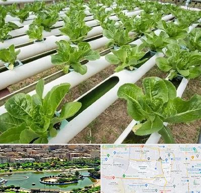 فروش تجهیزات هیدروپونیک در منطقه 9 تهران 