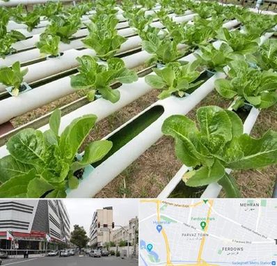فروش تجهیزات هیدروپونیک در بلوار فردوس 