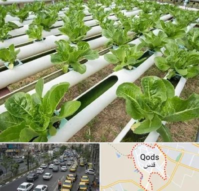 فروش تجهیزات هیدروپونیک در شهر قدس