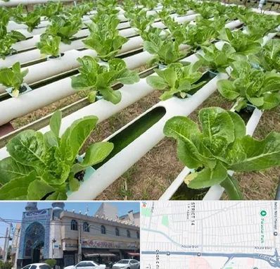 فروش تجهیزات هیدروپونیک در بلوار ابوذر