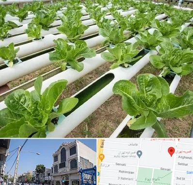 فروش تجهیزات هیدروپونیک در افسریه