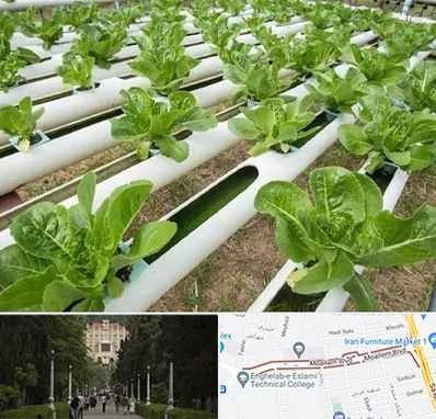 فروش تجهیزات هیدروپونیک در بلوار معلم رشت 