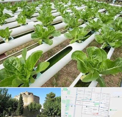 فروش تجهیزات هیدروپونیک در مرداویج اصفهان 