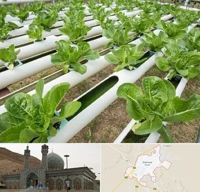 فروش تجهیزات هیدروپونیک در شهرضا