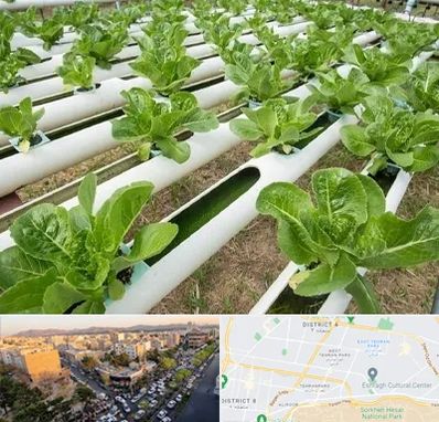 فروش تجهیزات هیدروپونیک در تهرانپارس 