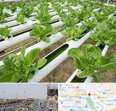 فروش تجهیزات هیدروپونیک در بلوار توس مشهد 